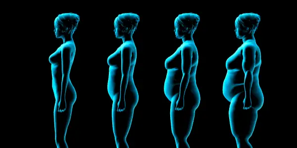 Body types are defined by bodyfat, muscle mass, and bmi