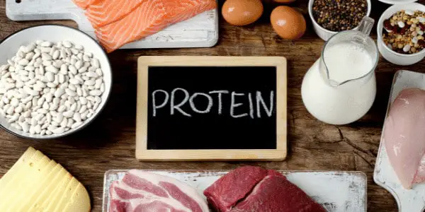 Diets rich in meat, seafood, cultured dairy, and pulses are great for your body composition